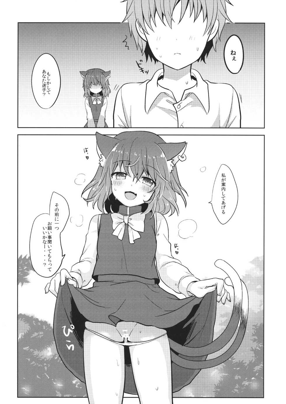 (Meikasai 11) [Kingyo Origin (Kayama Rim)] Chen-chan no Hatsujouki (Touhou Project) - Page 6