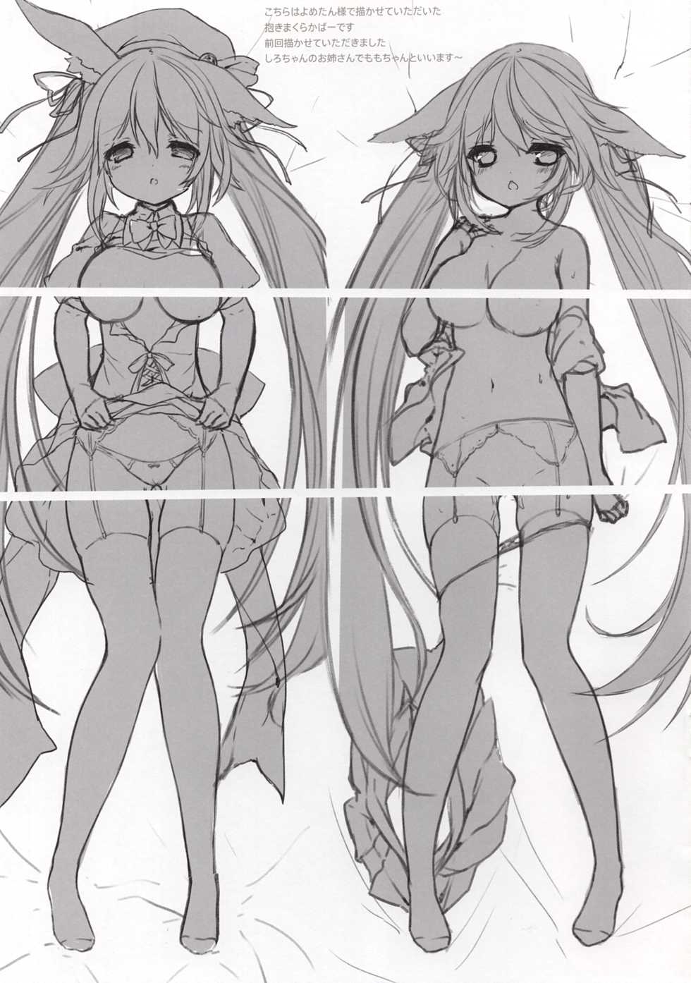 (COMIC1☆10) [practice (p19)] MP11 - Page 3