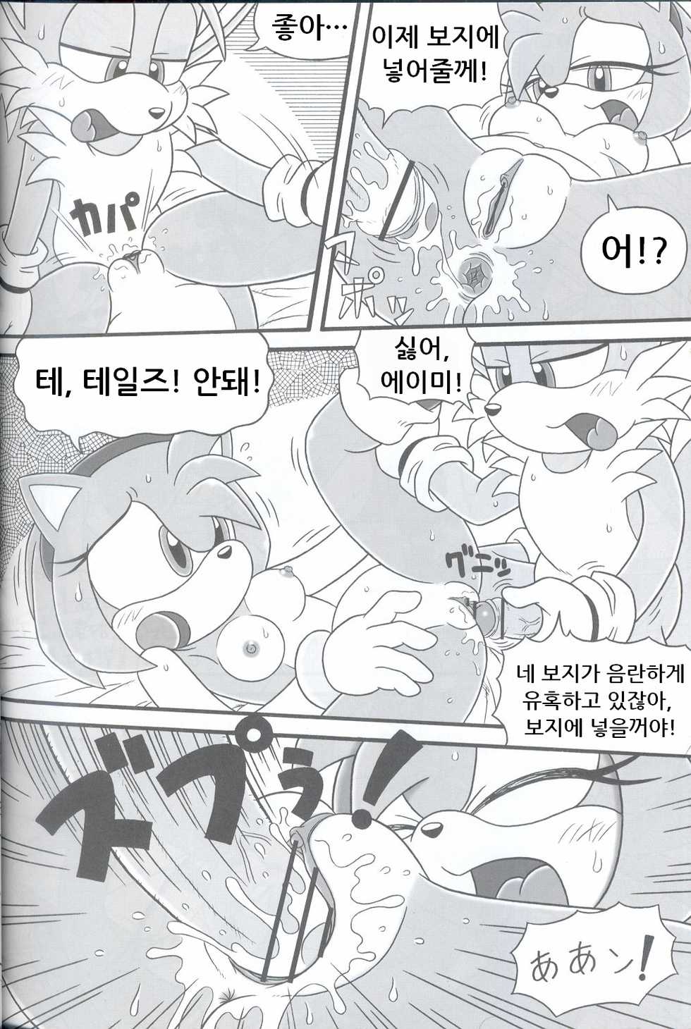 (C68) [Furry Bomb Factory (Karate Akabon)] Furry BOMB #3 (Sonic the Hedgehog) [Korean] - Page 18