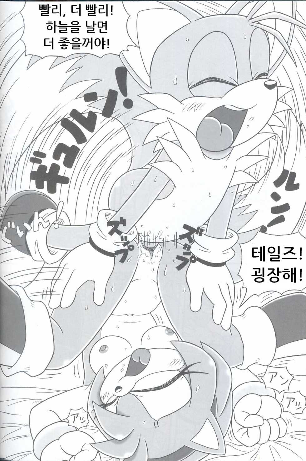 (C68) [Furry Bomb Factory (Karate Akabon)] Furry BOMB #3 (Sonic the Hedgehog) [Korean] - Page 20