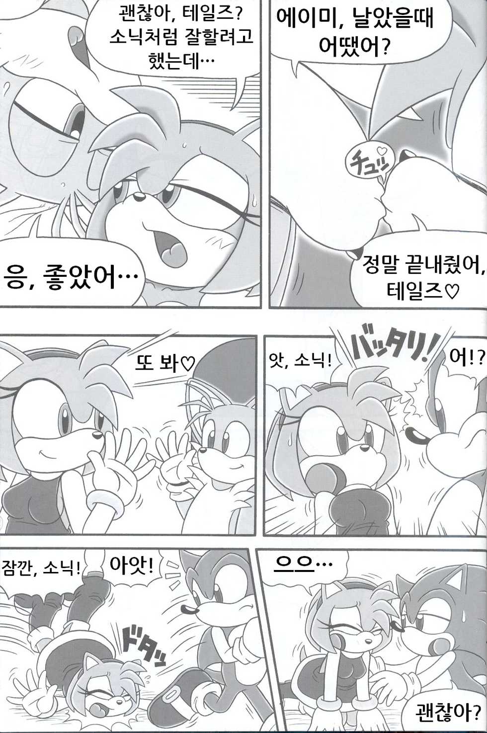 (C68) [Furry Bomb Factory (Karate Akabon)] Furry BOMB #3 (Sonic the Hedgehog) [Korean] - Page 23