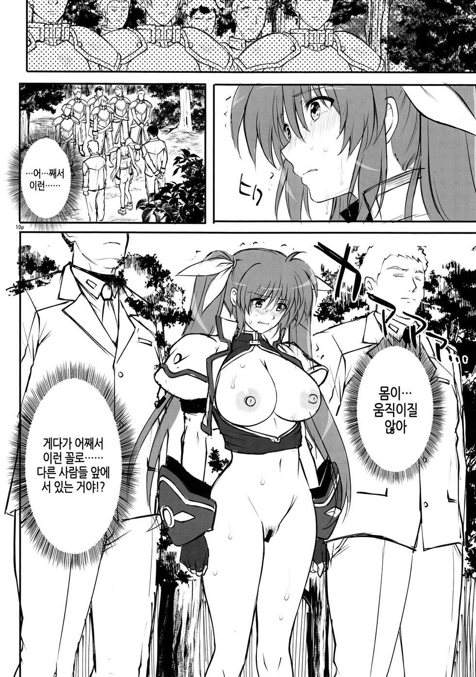 (C95) [Cyclone (Reizei, Izumi)] GOMEN NASAI. (Mahou Shoujo Lyrical Nanoha, Fate/Grand Order) [Korean] [팀 노고치] - Page 9