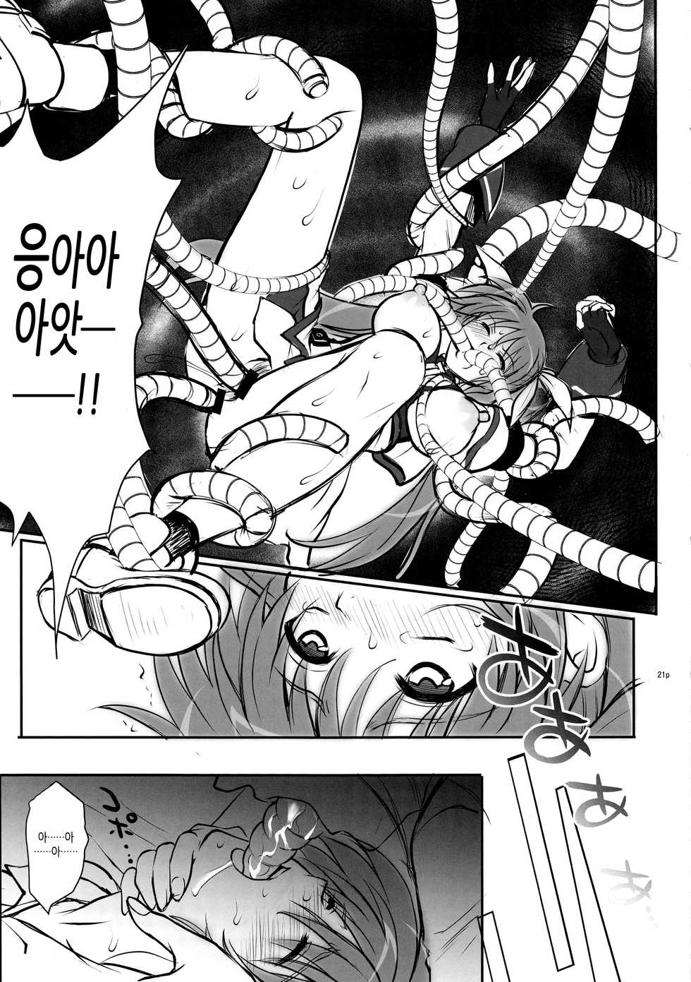 (C95) [Cyclone (Reizei, Izumi)] GOMEN NASAI. (Mahou Shoujo Lyrical Nanoha, Fate/Grand Order) [Korean] [팀 노고치] - Page 20