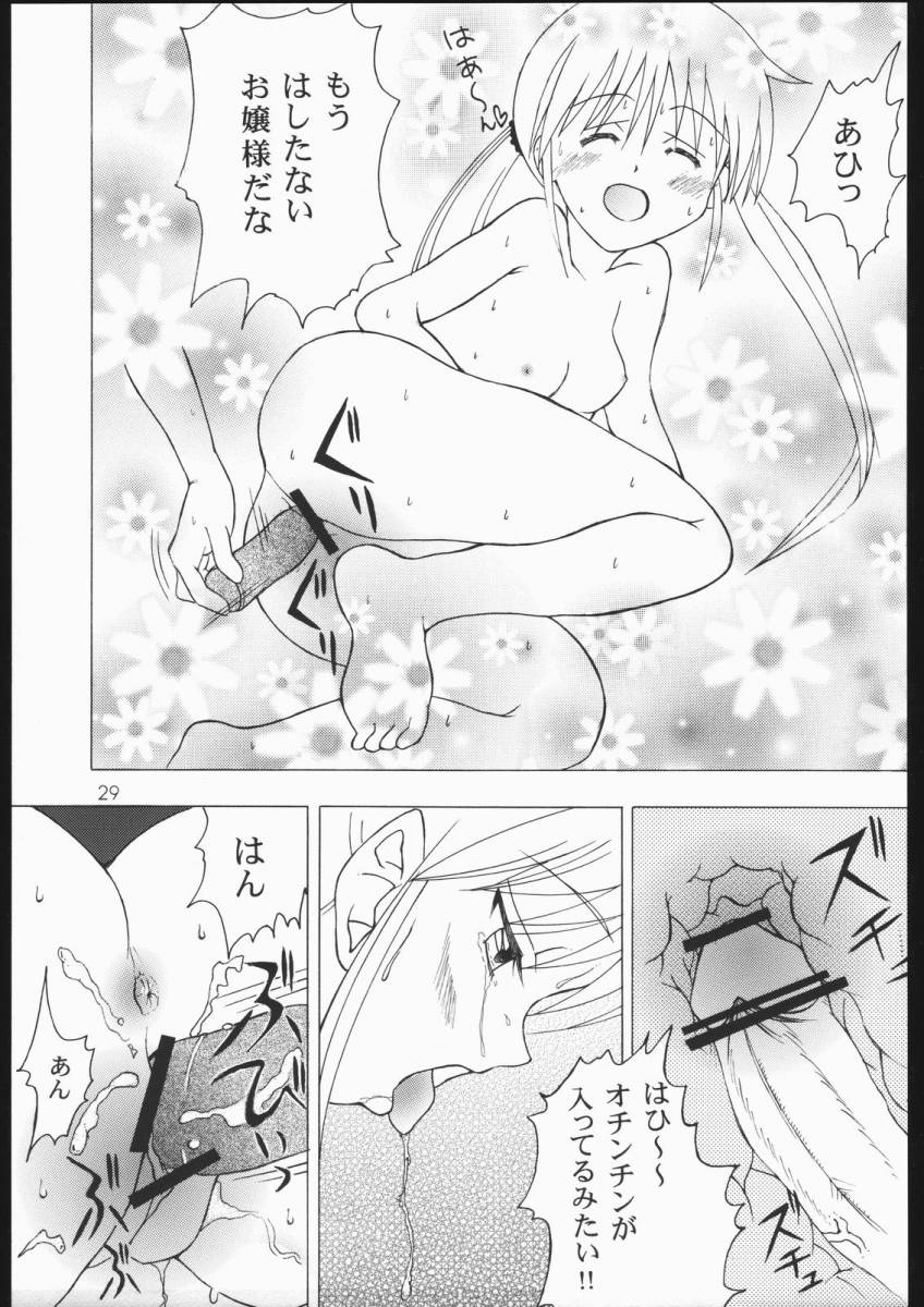(C68) [Genki Honpo (Saranoki Chikara)] Hayatte Mambo! (Hayate no Gotoku!) - Page 28