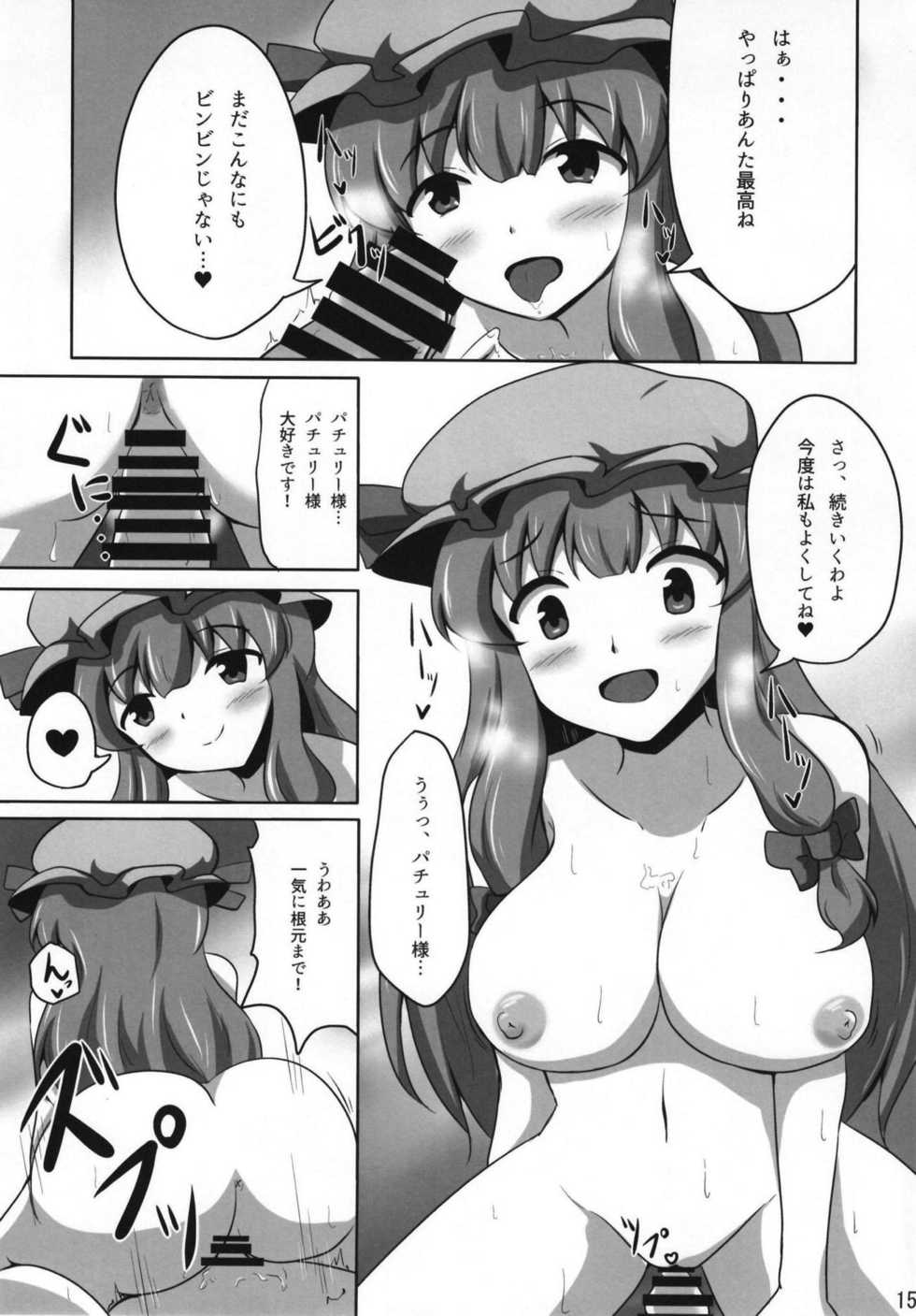 (C95) [Poco Natsu (Amanatsu Aki, poco)] Patchouli-sama to Love Love Ecchi (Touhou Project) - Page 14