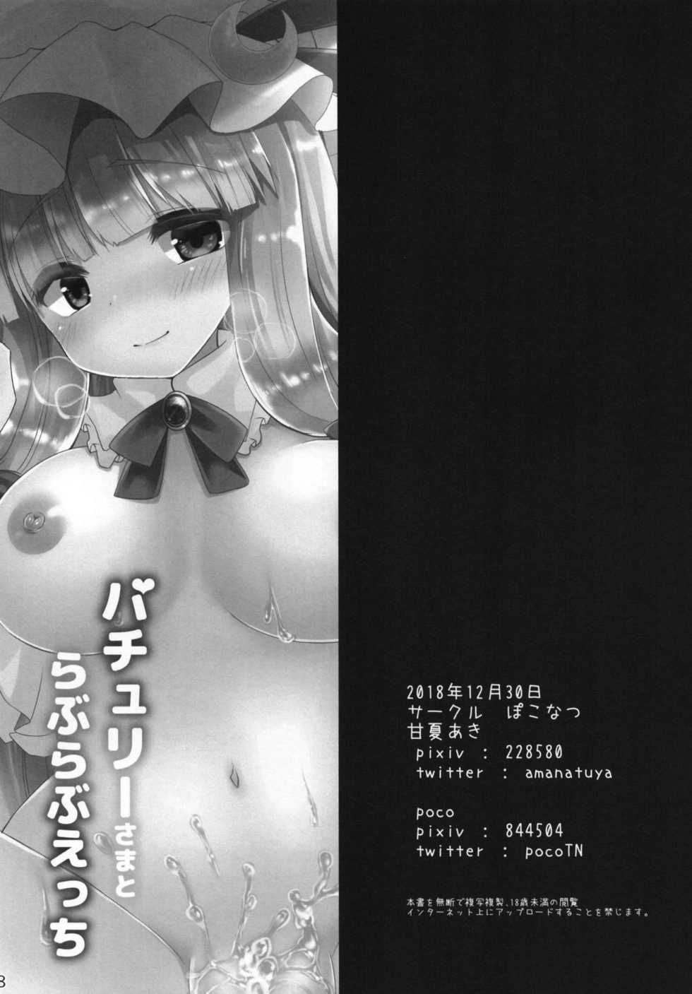 (C95) [Poco Natsu (Amanatsu Aki, poco)] Patchouli-sama to Love Love Ecchi (Touhou Project) - Page 17