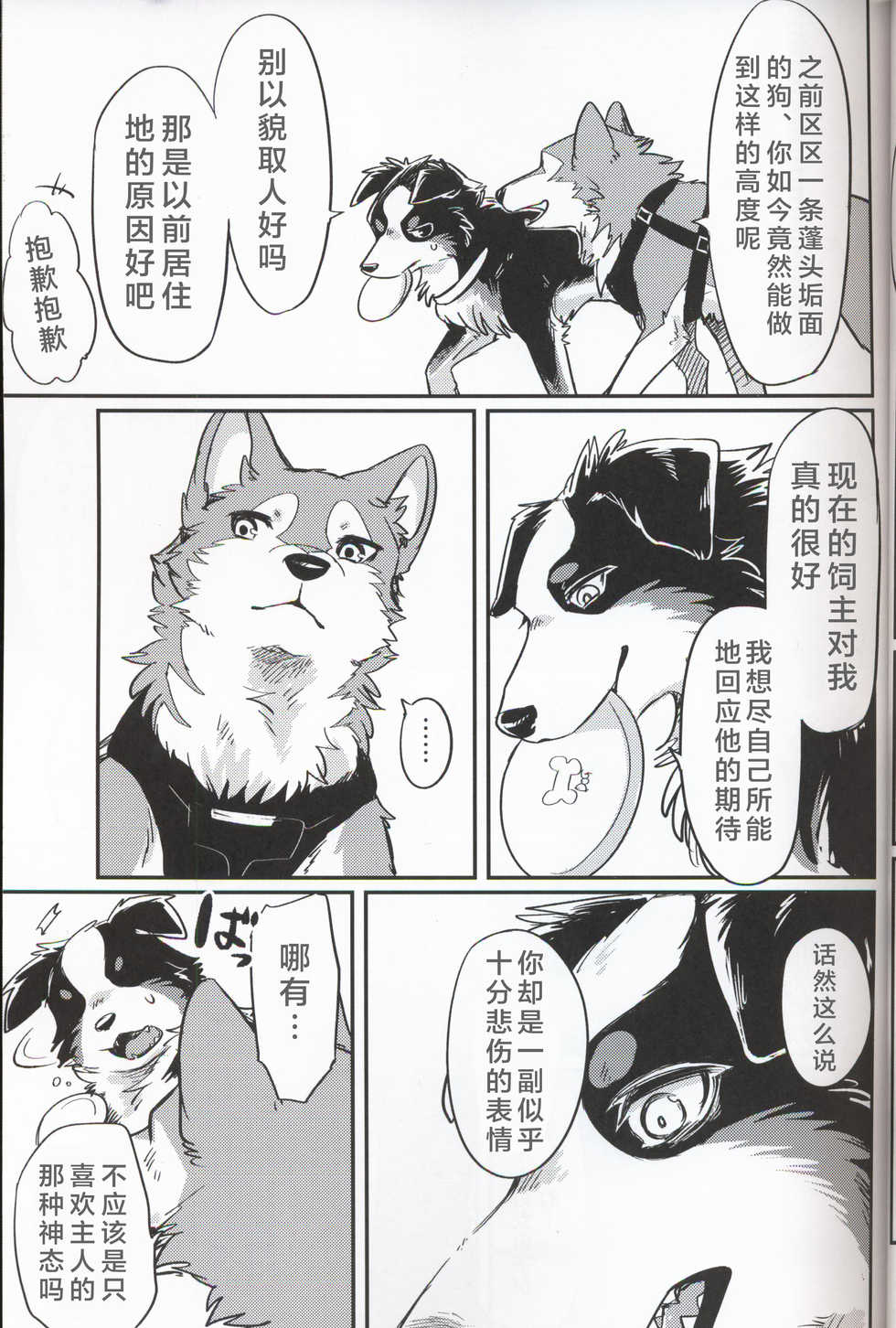 (Kansai! Kemoket 7) [Kaiten ParaDOGs (Diga Tsukune)] Usotsuki Tachi no " " | 讹言者们的“ ” [Chinese] [兔屋汉化组] - Page 9