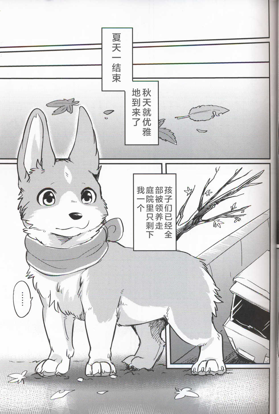 (Kansai! Kemoket 7) [Kaiten ParaDOGs (Diga Tsukune)] Usotsuki Tachi no " " | 讹言者们的“ ” [Chinese] [兔屋汉化组] - Page 13