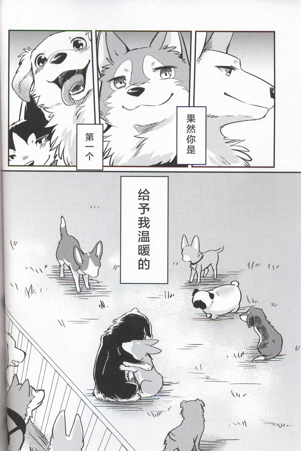 (Kansai! Kemoket 7) [Kaiten ParaDOGs (Diga Tsukune)] Usotsuki Tachi no " " | 讹言者们的“ ” [Chinese] [兔屋汉化组] - Page 26