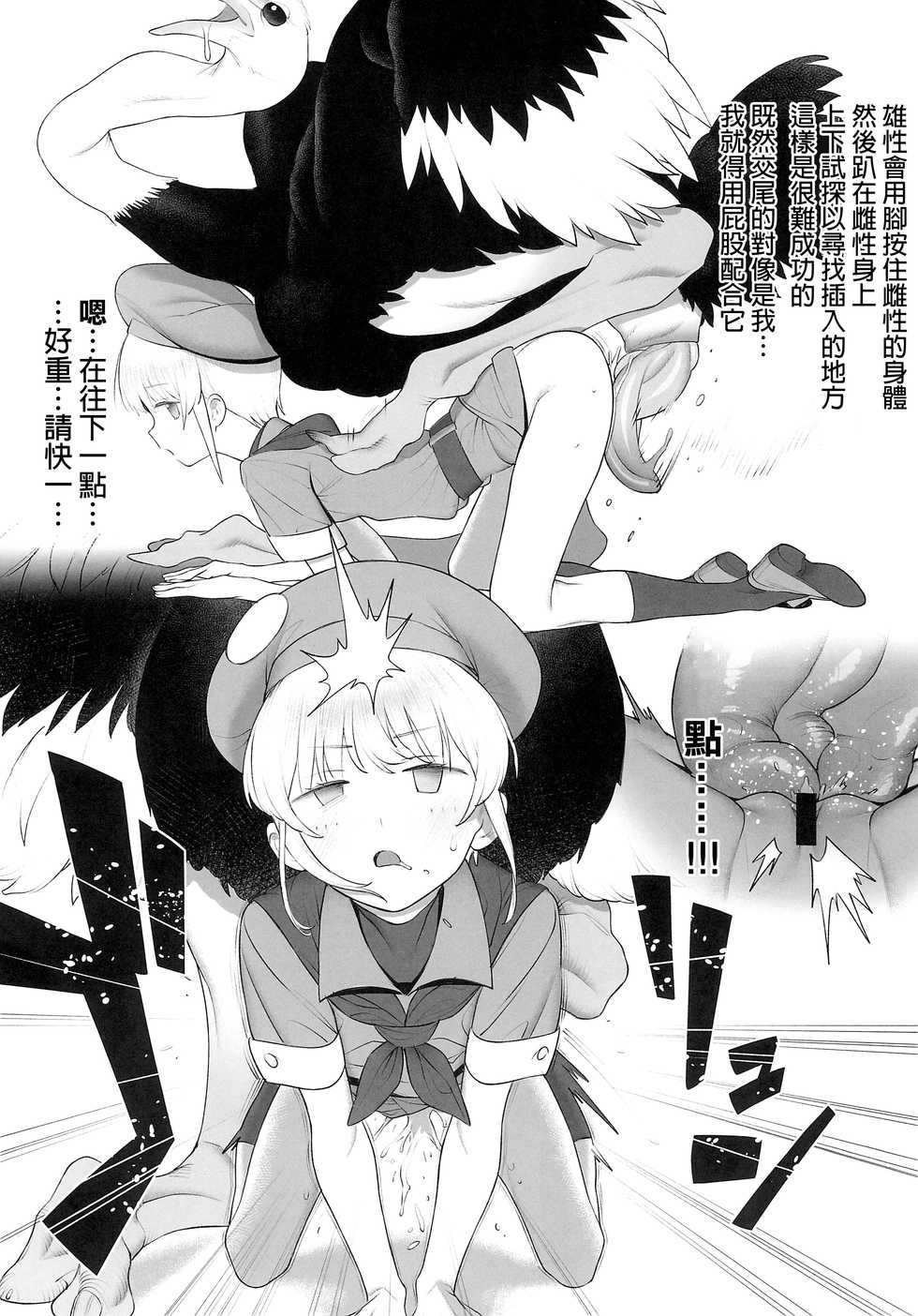 (SC2018 Autumn) [zero-sen (xxzero)] Tori no Kimochi Ii   [Chinese] [沒有漢化] - Page 11