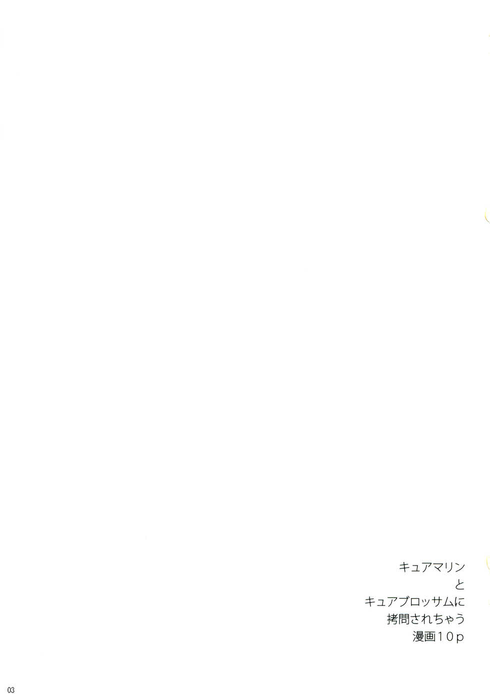 (C78) [eapo-zu (Mame)] Keritsubo (Heartcatch Precure!) [English] [Mongolfier] - Page 3