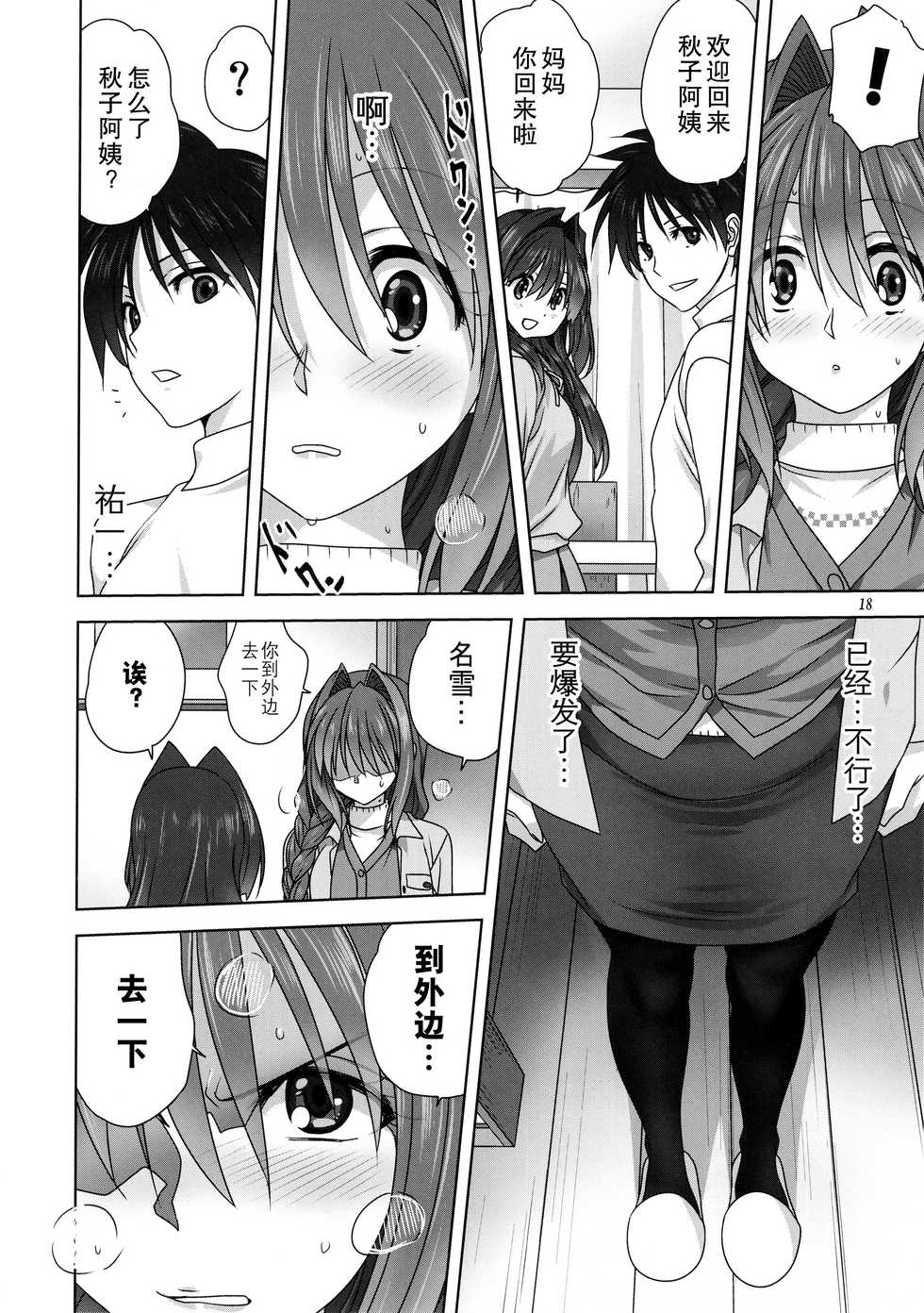 (C95) [Mitarashi Club (Mitarashi Kousei)] Akiko-san to Issho 23 (Kanon) [Chinese] [脸肿汉化组] - Page 18
