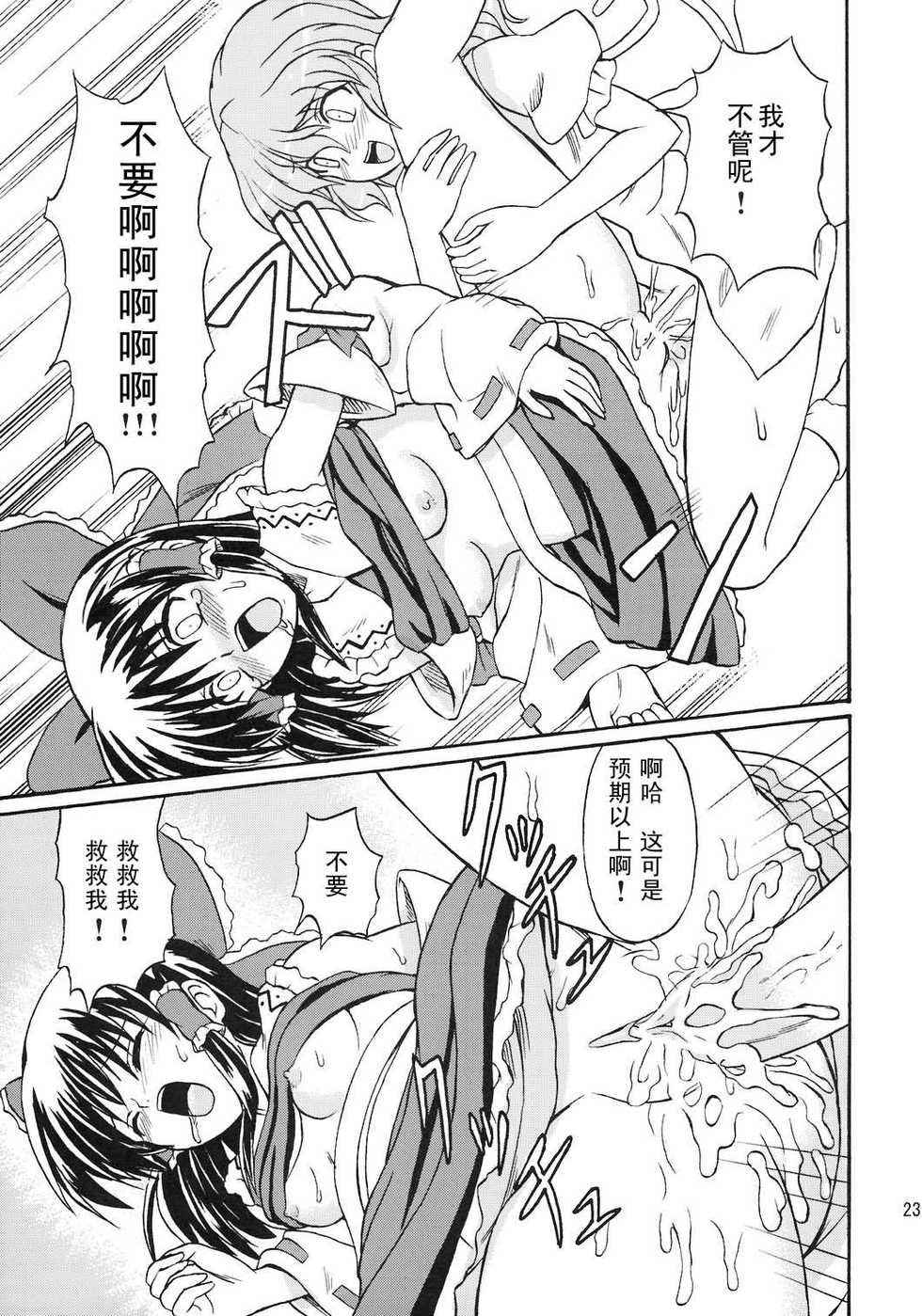 (Reitaisai 4) [Takakuya (Takaku Toshihiko)] Touhou Youjo Ranbu 8 (Touhou Project) [Chinese] - Page 23