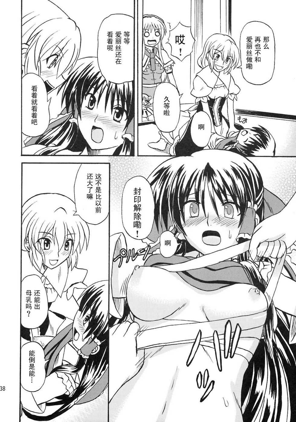 (Reitaisai 4) [Takakuya (Takaku Toshihiko)] Touhou Youjo Ranbu 8 (Touhou Project) [Chinese] - Page 38