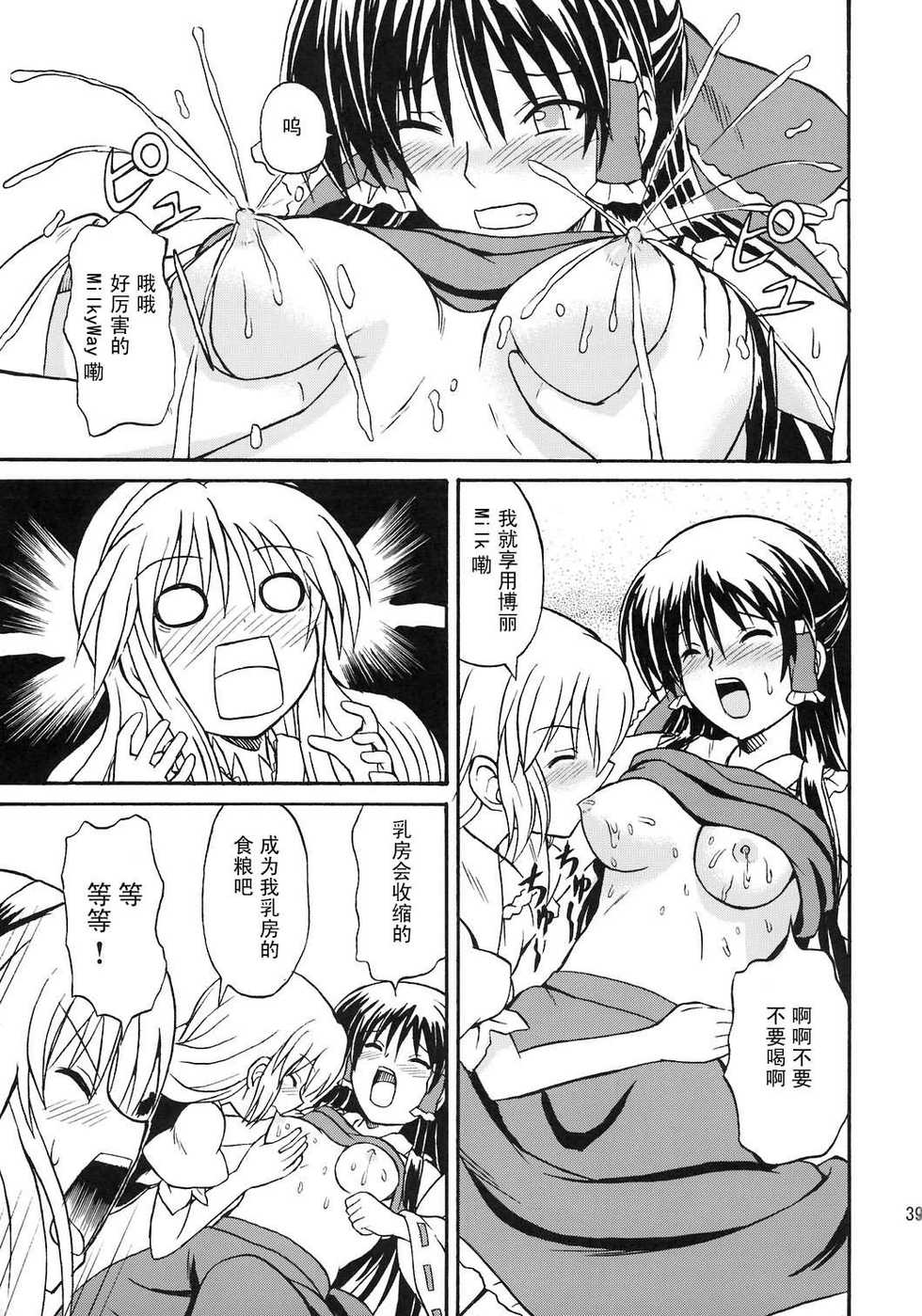 (Reitaisai 4) [Takakuya (Takaku Toshihiko)] Touhou Youjo Ranbu 8 (Touhou Project) [Chinese] - Page 39