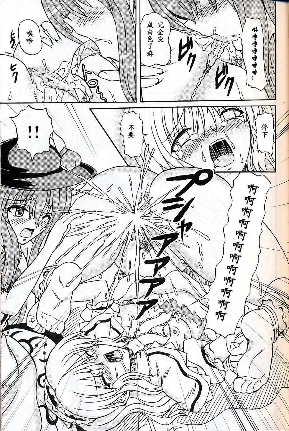 (C75) [Takakuya (Takaku Toshihiko)] Touhou Youjo Ranbu 9 (Touhou Project) [Chinese] - Page 14