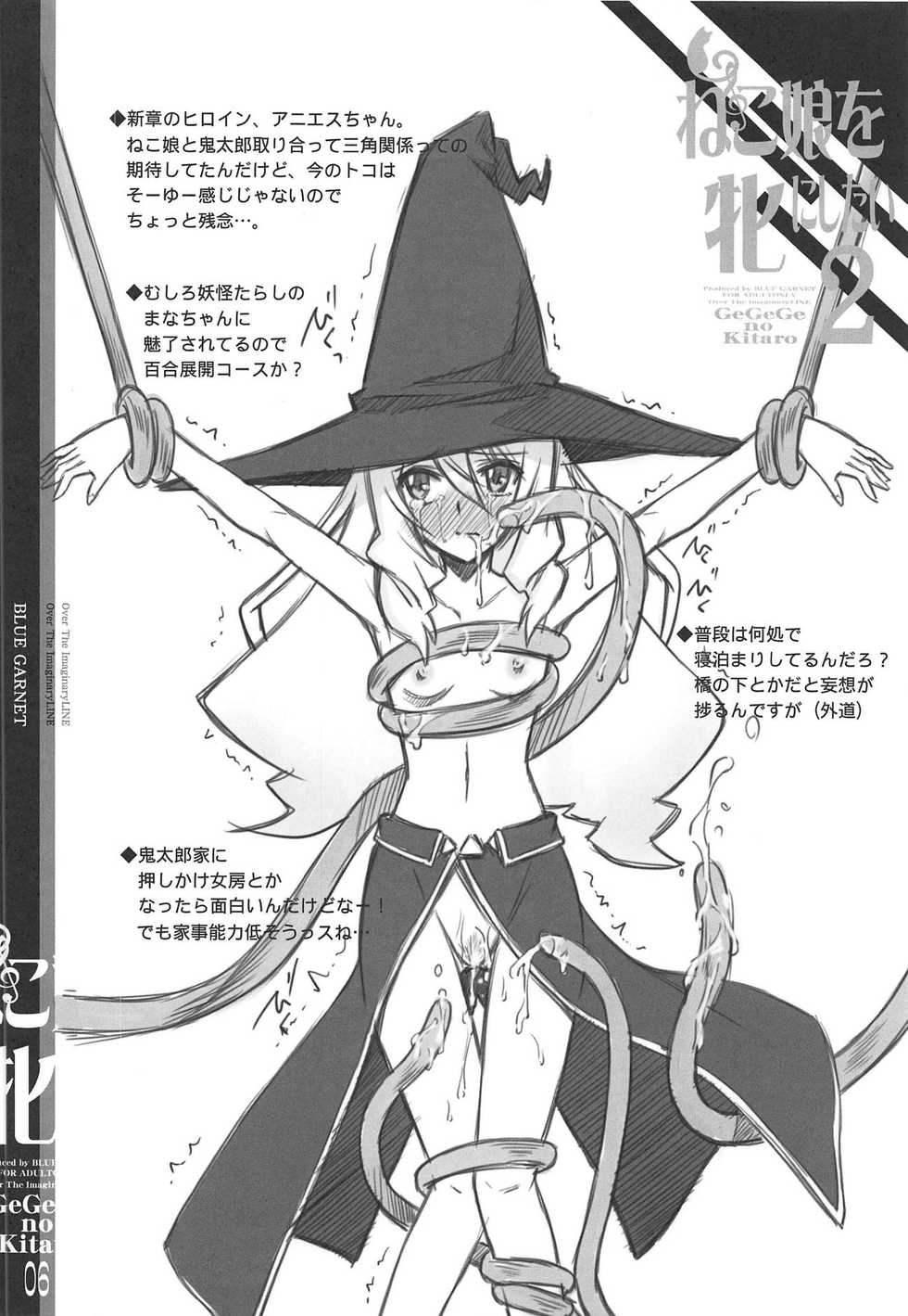 (C95) [BLUE GARNET (Serizawa Katsumi)] Neko Musume o Mesu ni Shitai 2 (Gegege no Kitarou) [Chinese] - Page 27