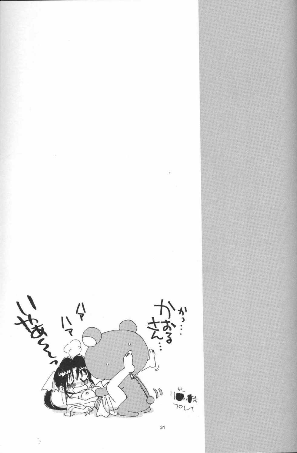 (C73) [Yamaguchirou (Yamaguchi Shinji)] IKUN (Rurouni Kenshin) - Page 31