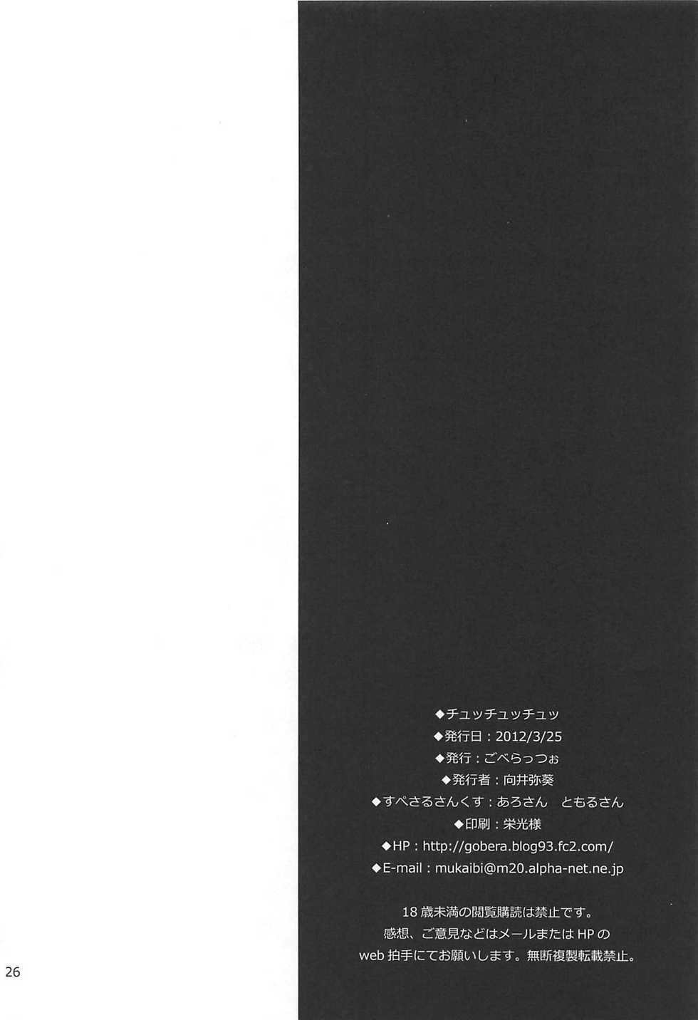 (Lyrical Magical 13) [Goberazzo (Mukaibi Aoi)] Chu Chu Chu (Mahou Shoujo Lyrical Nanoha) - Page 25