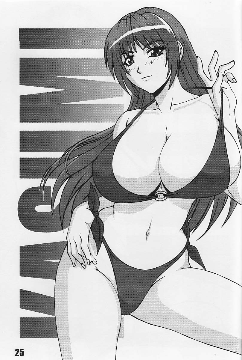 [P-LAND (PONSU)] P-LAND ROUND 10 (Dead or Alive Xtreme Beach Volleyball) [English] - Page 25