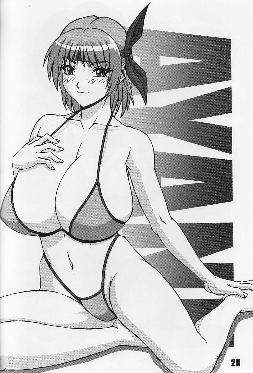[P-LAND (PONSU)] P-LAND ROUND 10 (Dead or Alive Xtreme Beach Volleyball) [English] - Page 28