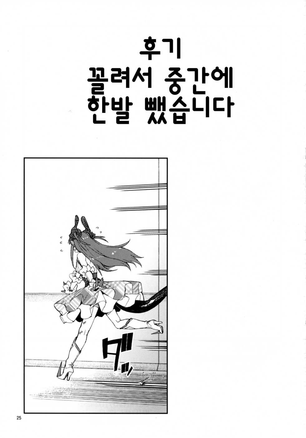 (C93) [Jikomanzoku (Akitsuki Itsuki)] Koutetsu Majou no Setsunai Kyousei | 강철마녀의 애절한 교성 (Fate/Grand Order) [Korean] - Page 26