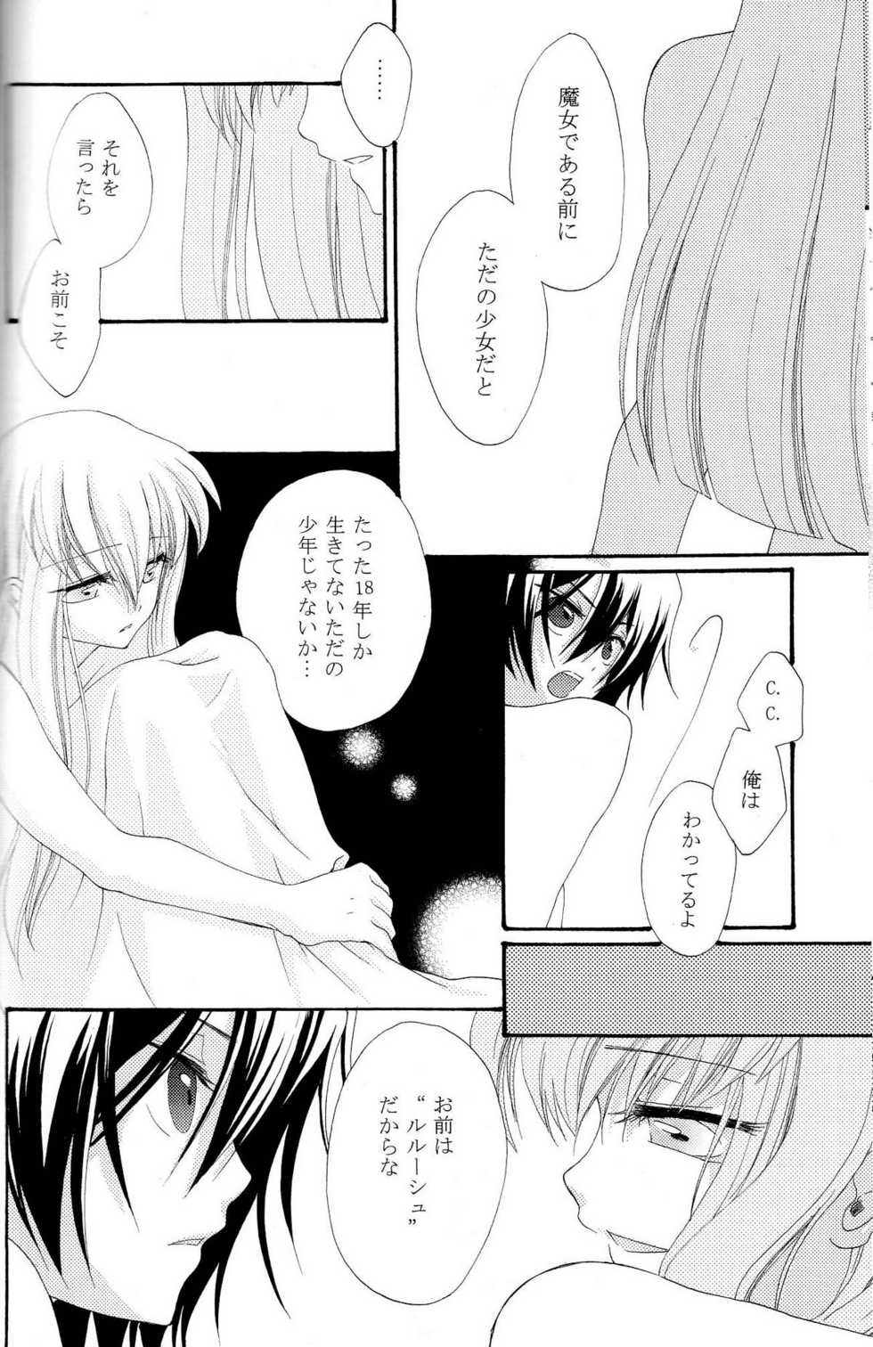 [APRICOT TEA] The last love letter presented to my dear only partner. (Code Geass) - Page 25
