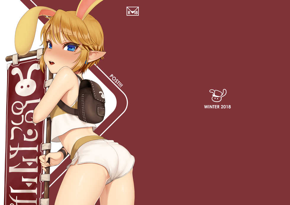 [broccoholic (MM)] Post!!! (The Legend of Zelda) [English] [Decensored] [Digital] - Page 1