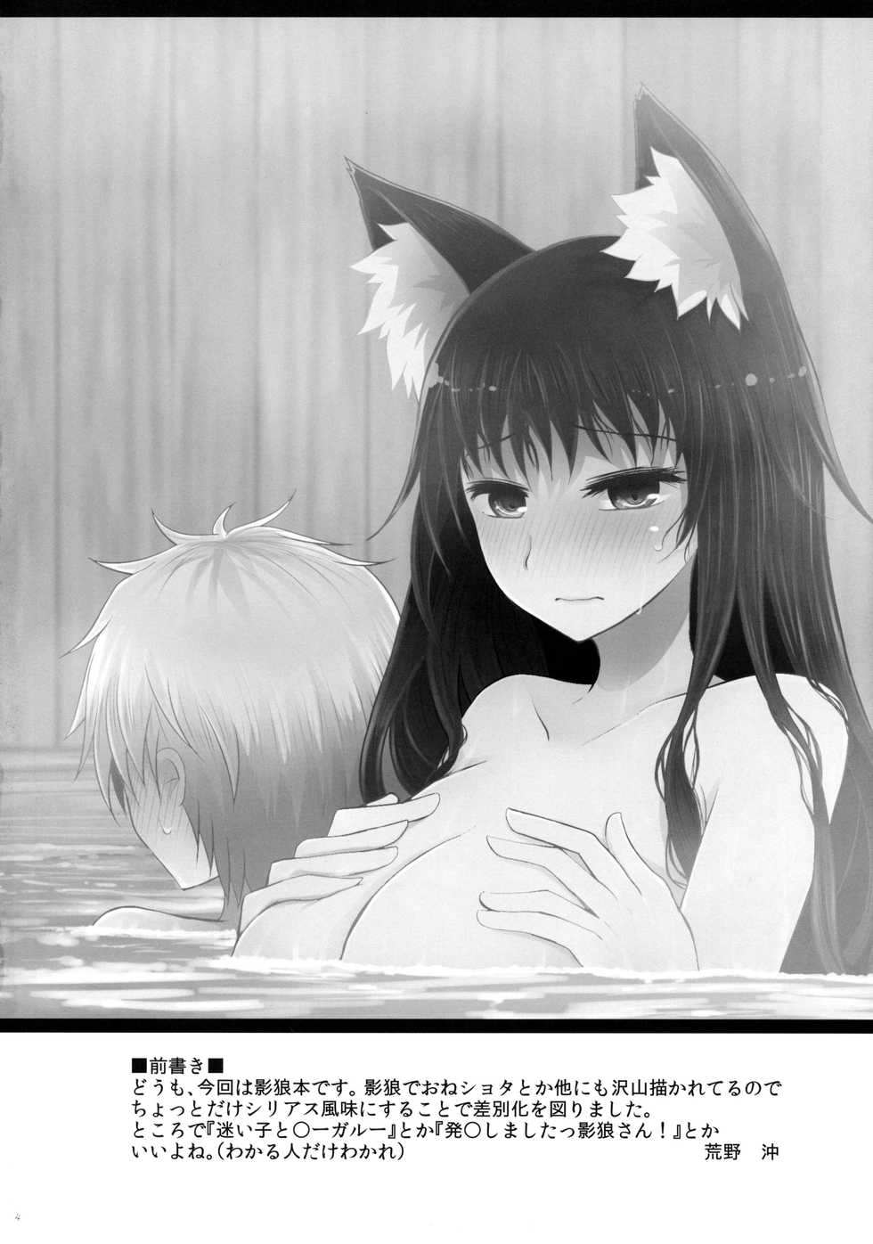 (Kouroumu 14) [Furafura Toxin (Arano Oki)] Semete Kono Ame ga Yamu made (Touhou Project) - Page 3