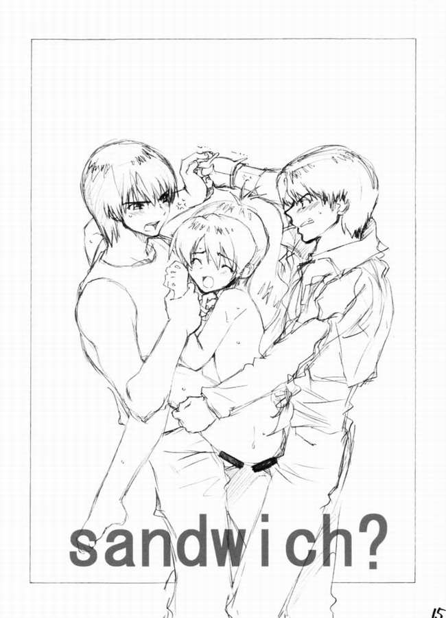 (C61) [WILD KINGDOM (Sensouji Kinoto)] HEROES (s-CRY-ed) - Page 12