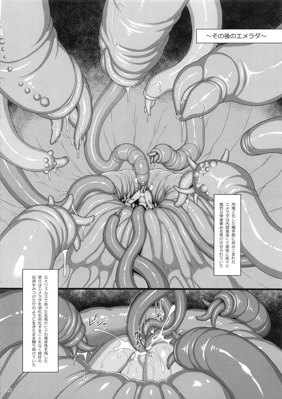 (C94) [Aerial Rave (Jacky)] EMERALD SPLASH 3 (Xenogears) - Page 25