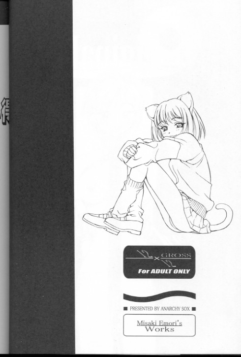 [Misaki Emori] 12X12(Gross) - Page 5