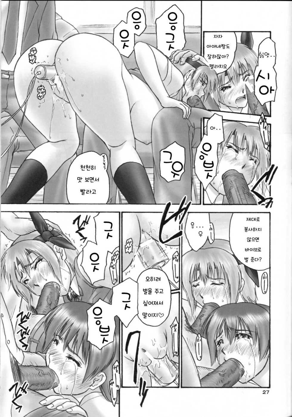 (C67) [Hellabunna (Iruma Kamiri)] experiments.02 (orz.) (Dead or Alive) [Korean] - Page 27