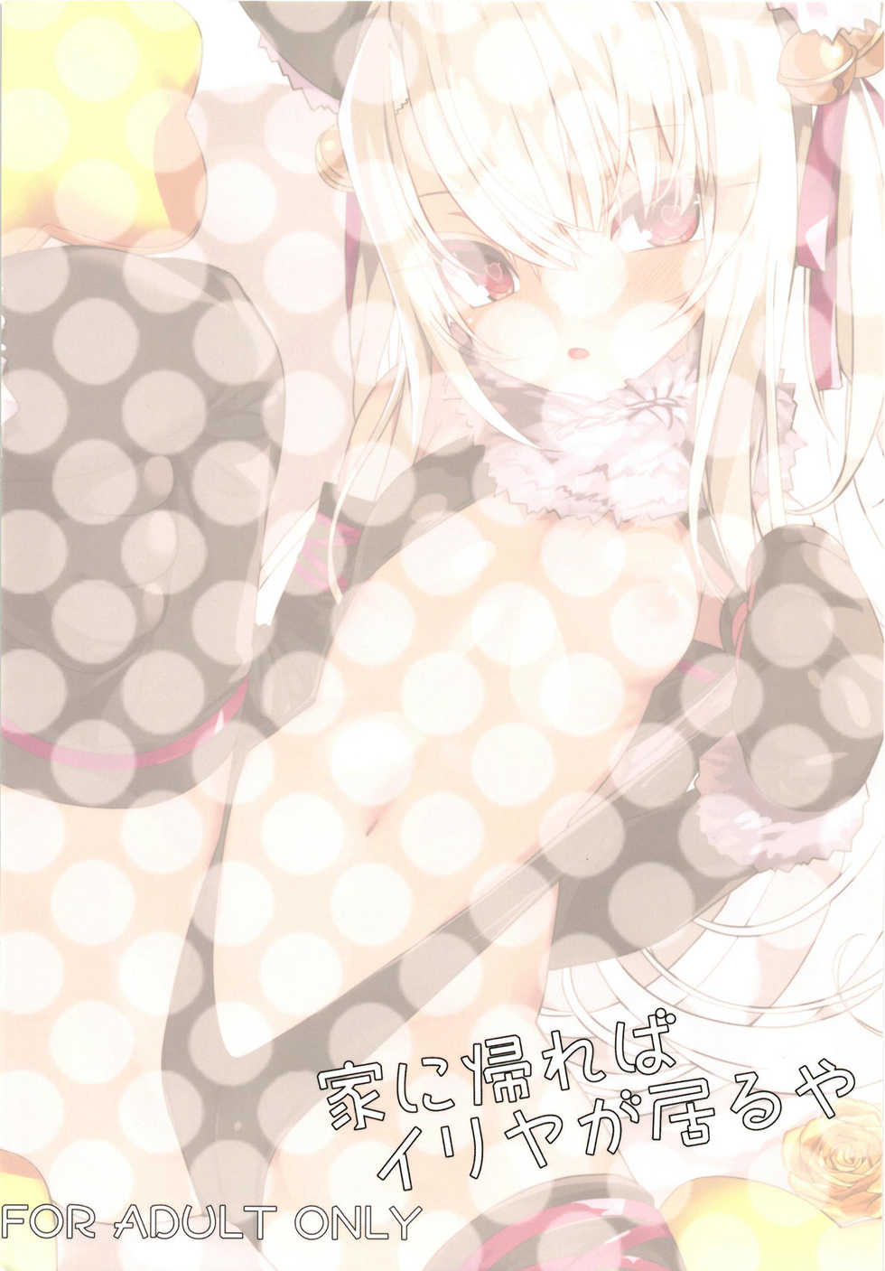 [Illumination. (Ogadenmon)] Ie ni Kaereba Illya ga Iru ya (Fate/Grand Order) [Textless] [Digital] - Page 28