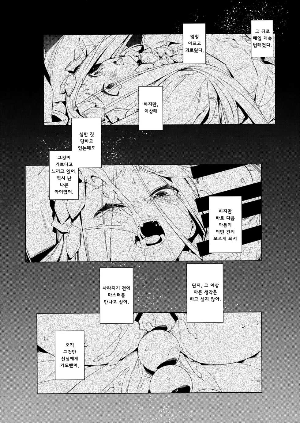 (C95) [Chideji (Oyaji)] Kagiana | 열쇠구멍 (Fate/Grand Order) [Korean] [팀 마스터] - Page 14