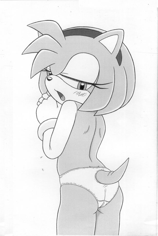 (C67) [Furry Bomb Factory (Karate Akabon)] Furry BOMB #2.5 (Sonic the Hedgehog) - Page 2