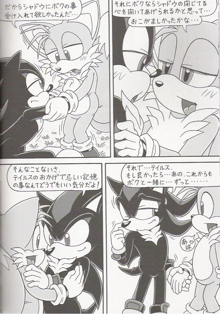 (C70) [Furry Bomb Factory (Karate Akabon)] Furry BOMB #4 (Sonic the Hedgehog) - Page 12