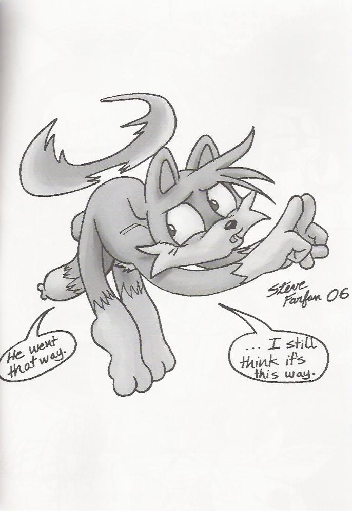 (C70) [Furry Bomb Factory (Karate Akabon)] Furry BOMB #4 (Sonic the Hedgehog) - Page 20