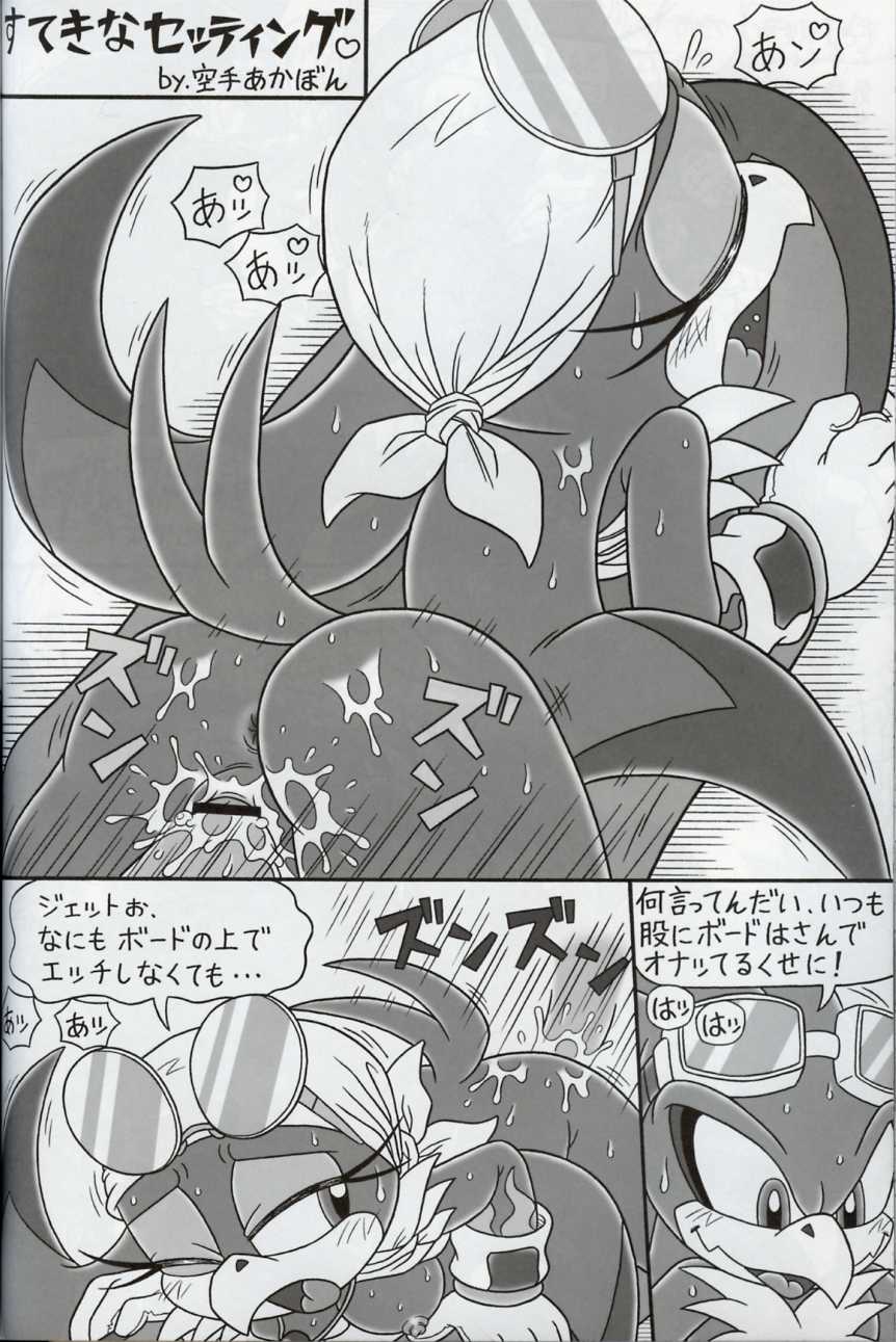 (C71) [Furry Bomb Factory (Karate Akabon)] Furry BOMB #5 (Sonic the Hedgehog) - Page 8