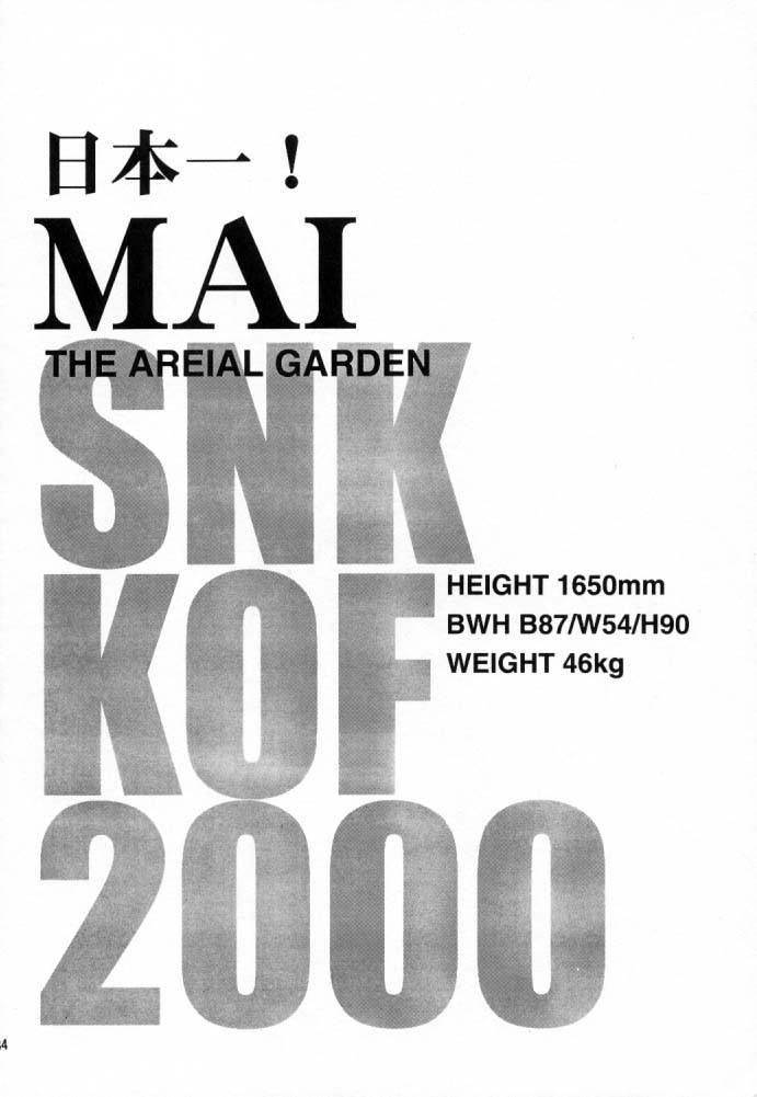 (C59) [MG WORKS (Isou Doubaku)] NINJA MANIA MILLENNIUM (Dead or Alive, King of Fighters) - Page 33