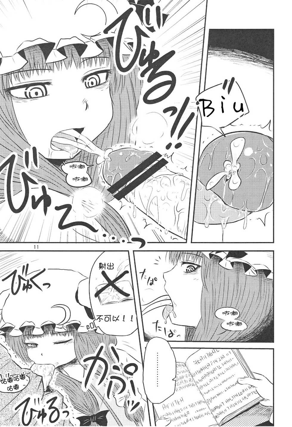 (C82) [Fugodoku (Katou Fuguo)] SURUDAKE Ni. | 单纯地H 二 (Touhou Project) [Chinese] [靴下汉化组] - Page 10