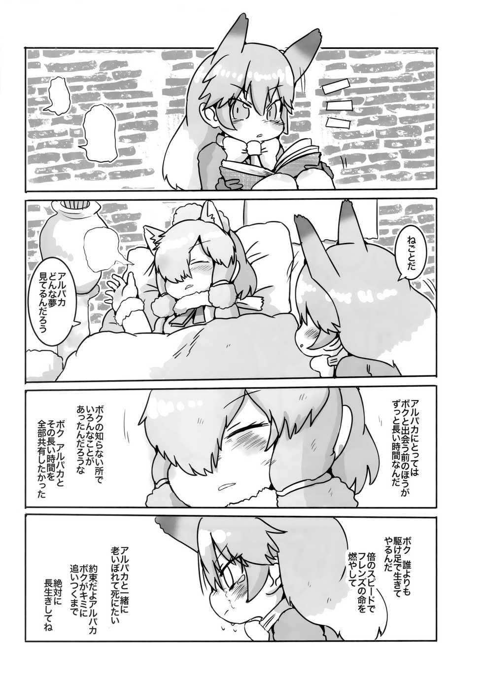 (C94) [Circle Hatorie (Hatori)] Boku, Koko de Zutto Kimi to Itai. (Kemono Friends) - Page 19