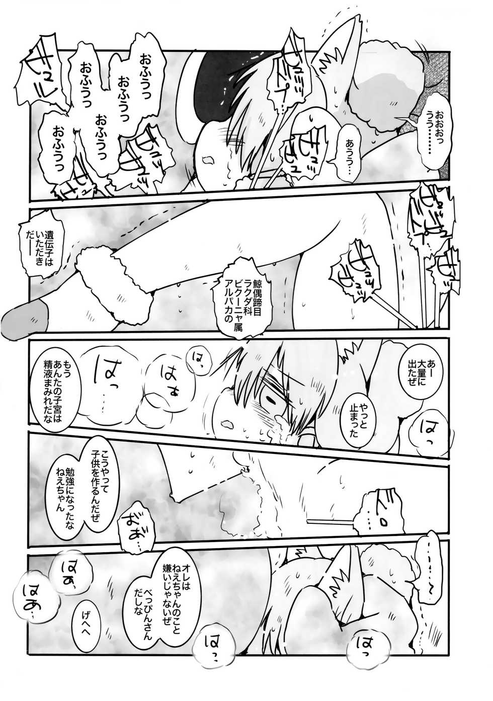 (C95) [Circle Hatorie (Hatori)] Yuugure Sora ni, Akareta Gate(Alpaca Kaisou-hen) (Kemono Friends) - Page 9