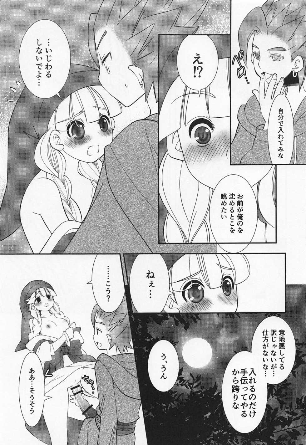(TWINKLE MIRAGE 10) [umanicom (Umani)] Tsuki ga Kirei desu ne (Dragon Quest XI) - Page 20