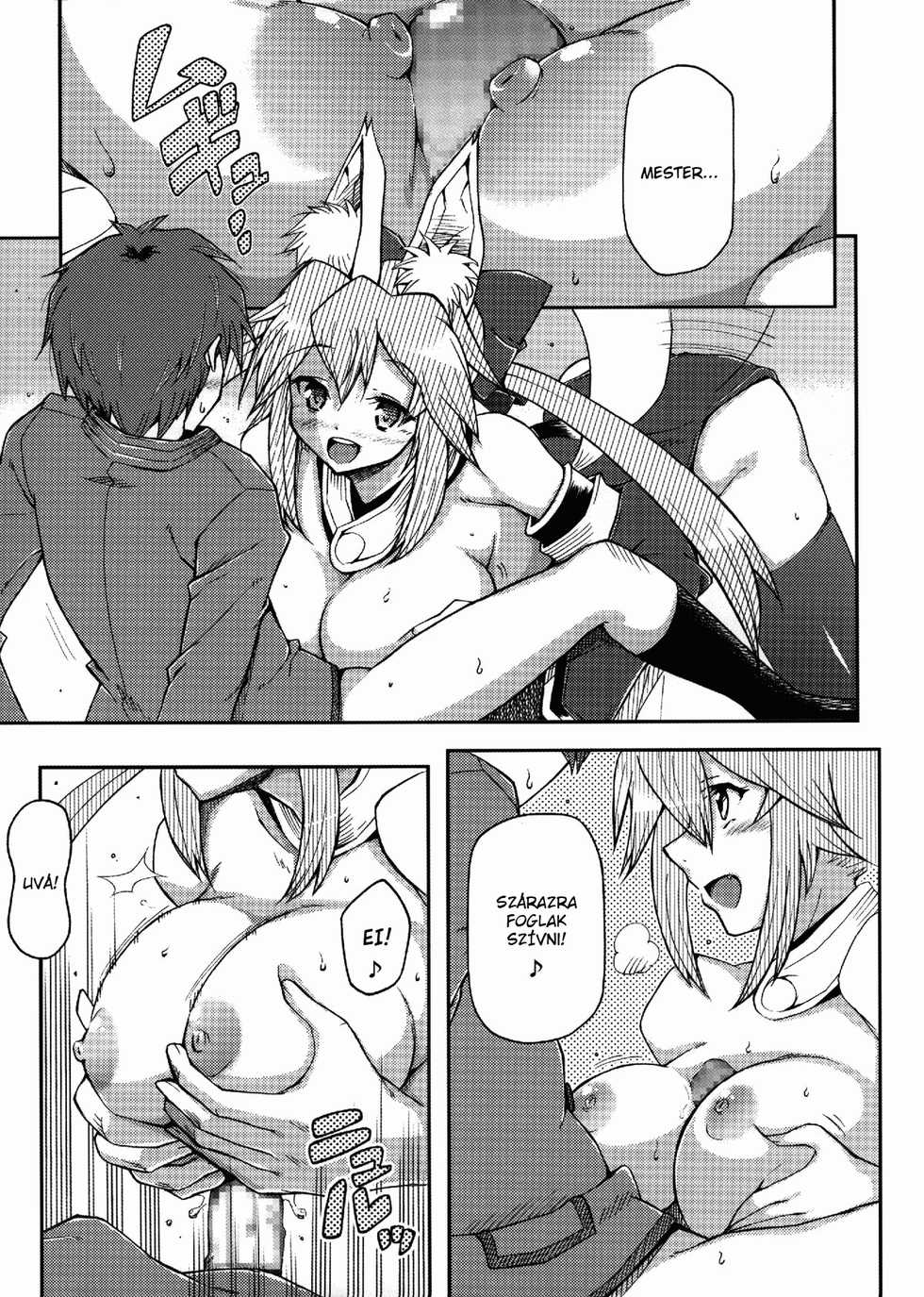 [Hetalearts (BLACKHEART)] 21st CENTURY FOX (Fate/Extra) [Hungarian] [Huntai.hu] [2012-06-05] - Page 8