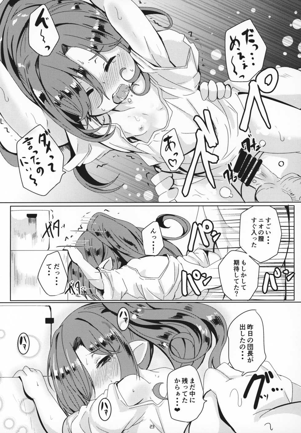 (C95) [Ginsiba. (Shieko)] Honto no Kimochi (Granblue Fantasy) - Page 22