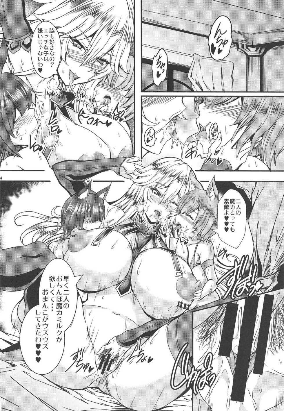 (C95) [Yudenonno (Nonnon)] Magisa no Shiru Atsume (Granblue Fantasy) - Page 13
