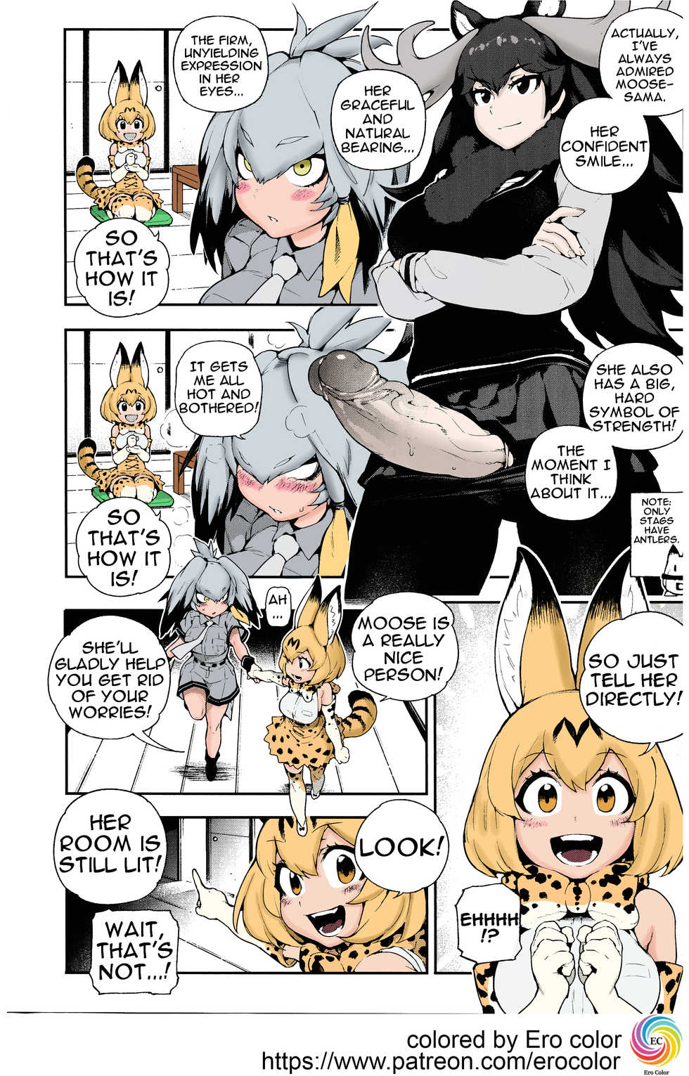 (FF30) [Bear Hand (Fishine, Ireading)] BEAST FRIENDS (Kemono Friends) [English][Colorized][Erocolor] - Page 4
