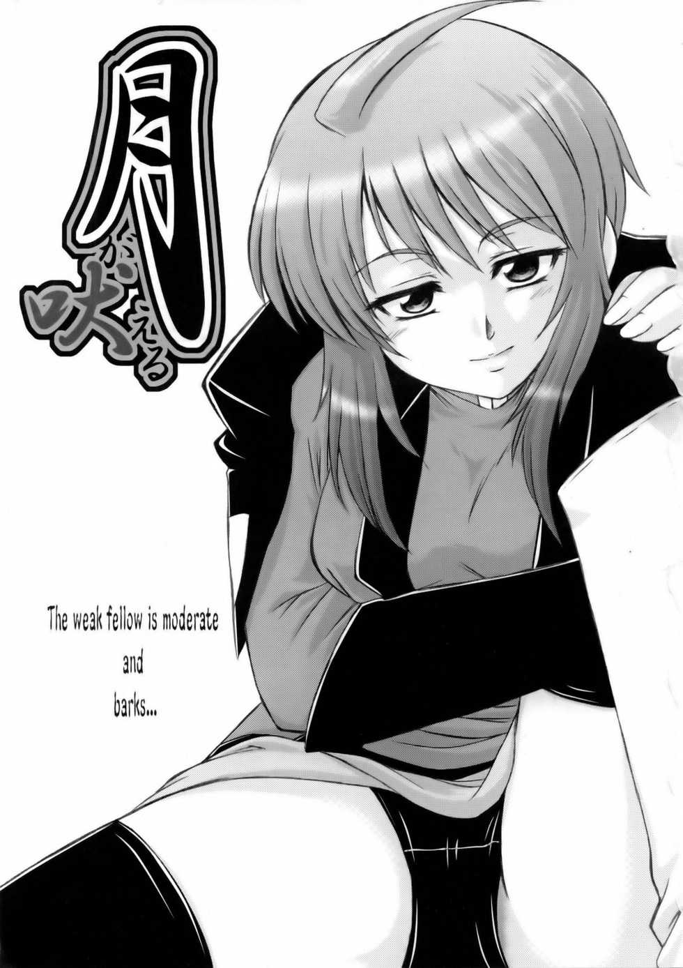 (C69) [G-R (Akiyama Kenta)] Tsuki ga Hoeru (Gundam SEED Destiny) - Page 2