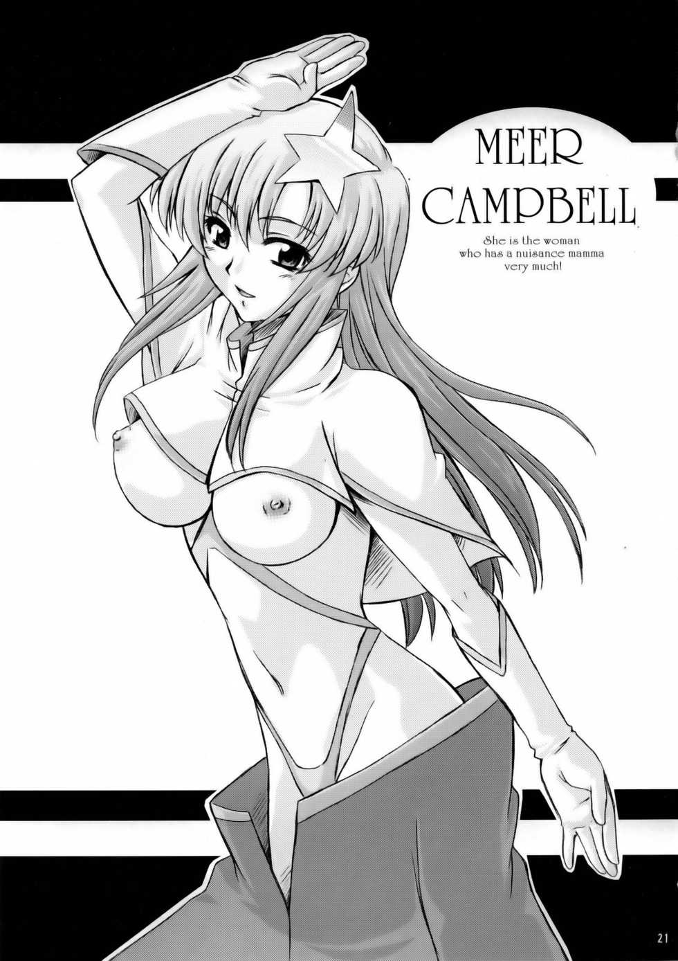 (C69) [G-R (Akiyama Kenta)] Tsuki ga Hoeru (Gundam SEED Destiny) - Page 20